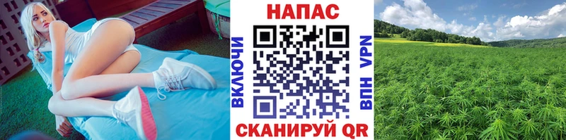 Наркошоп Белая Холуница ГАШИШ  Галлюциногенные грибы  Меф мяу мяу  APVP  Бошки Шишки  Cocaine 