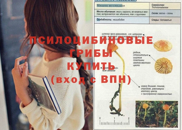 PSILOCYBIN Армянск