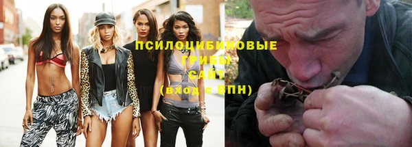 прущая мука Арсеньев