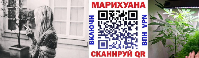 маркетплейс телеграм  Белая Холуница  Бошки Шишки White Widow 